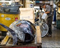 Tsukiji-Fish-Market-big-tunaIMG_6921 Big Tuna At Tsukiji Fish Market